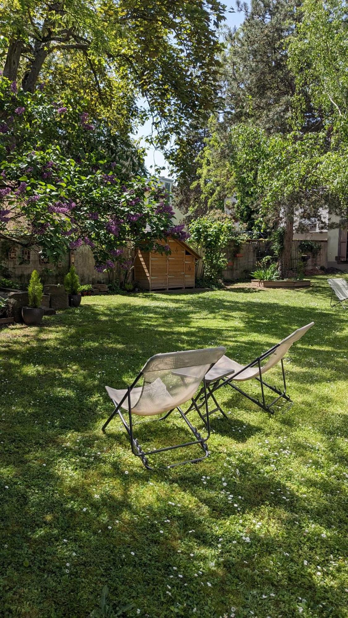 Apartamento Le Petit Parc Colmar Habitación foto
