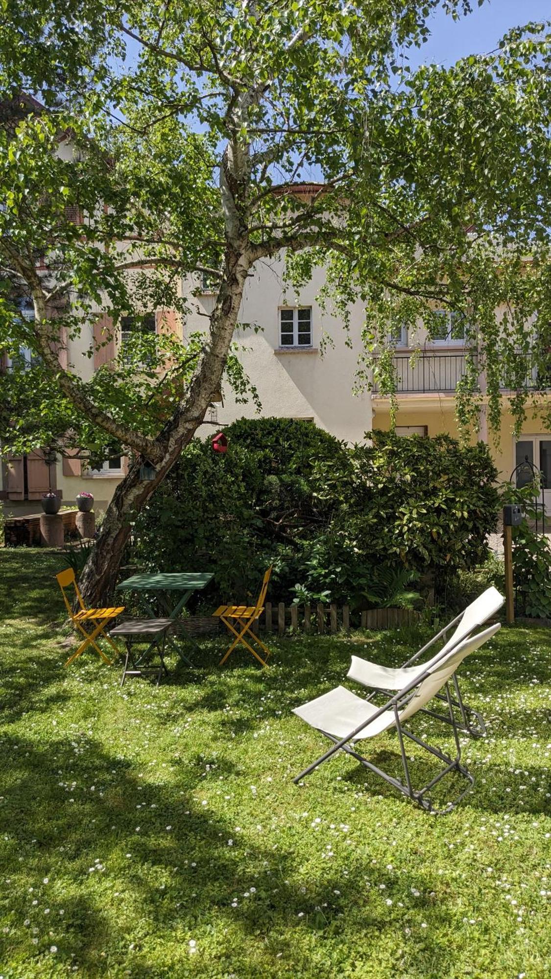 Apartamento Le Petit Parc Colmar Habitación foto